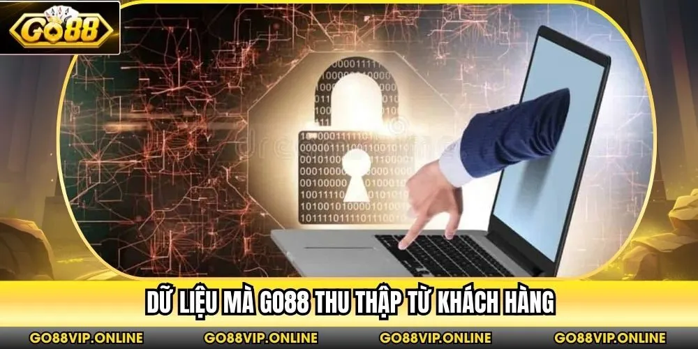 Dữ liệu mà Go88 thu thập từ khách hàng